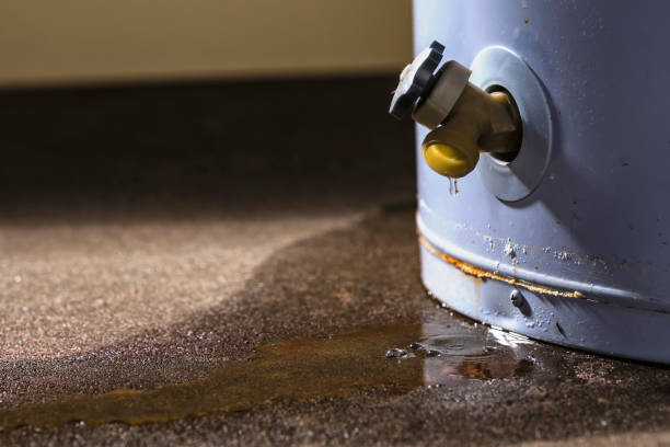 Best Water damage restoration near me  in Osseo, MN