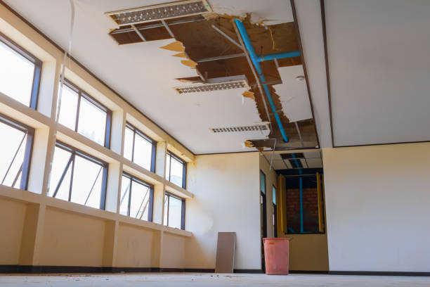 Best Emergency water damage restoration  in Osseo, MN
