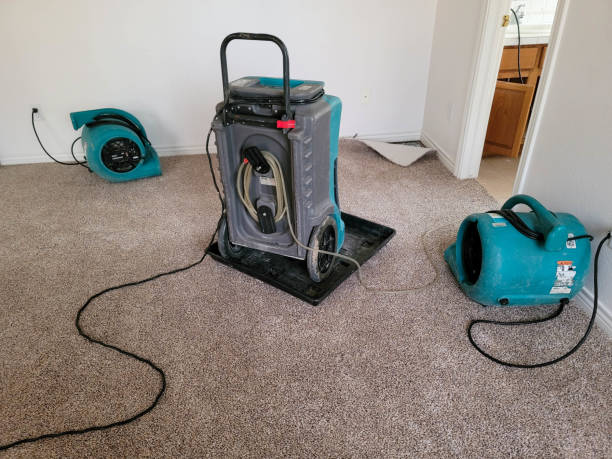 Trusted Osseo, MN Water damage restoration Experts