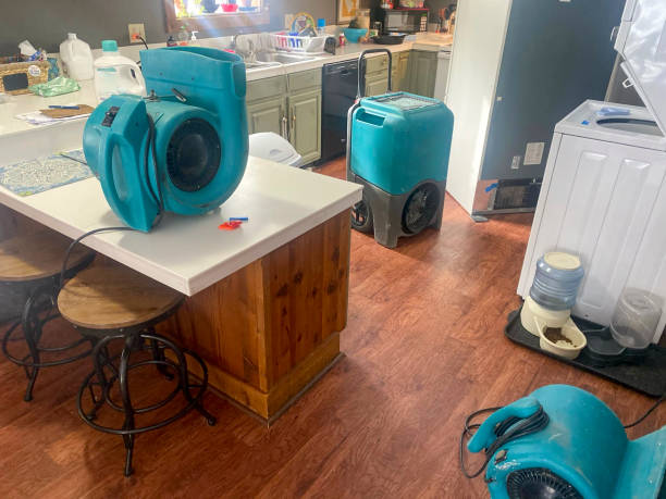 Best Carpet water damage restoration  in Osseo, MN