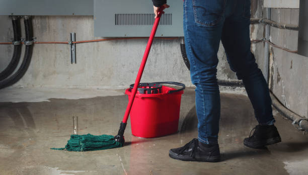 Carpet water damage restoration in Osseo, MN