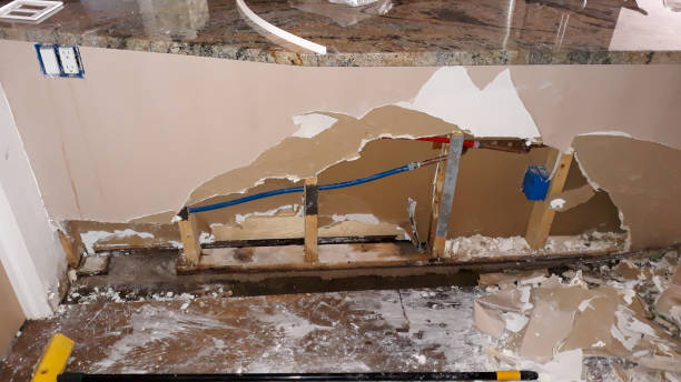 Best Flood damage cleanup  in Osseo, MN