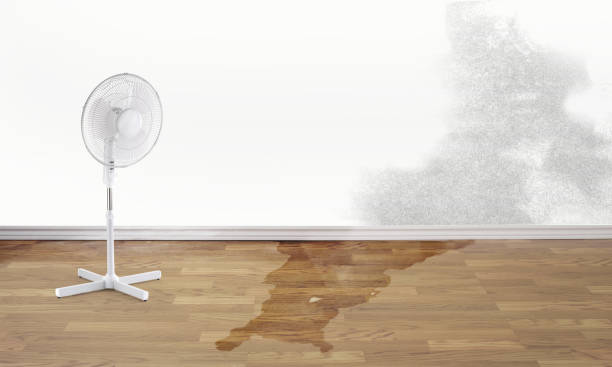 Best Water damage restoration specialists  in Osseo, MN