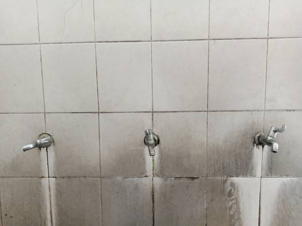 Best Basement water damage restoration  in Osseo, MN