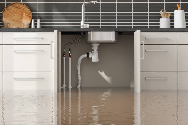 Best Water damage contractors near me  in Osseo, MN