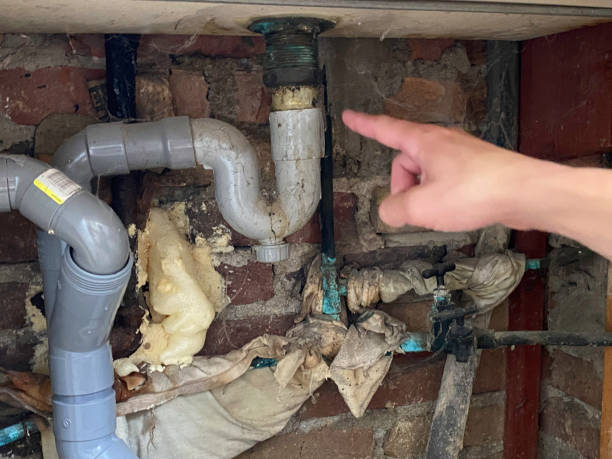 Best Carpet water damage restoration  in Osseo, MN